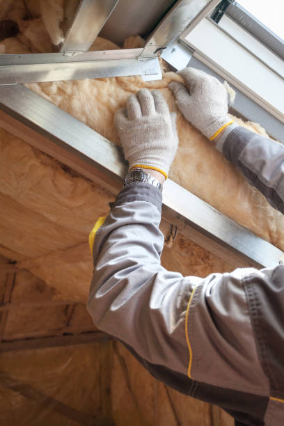 Best Cellulose Insulation in Durant, OK
